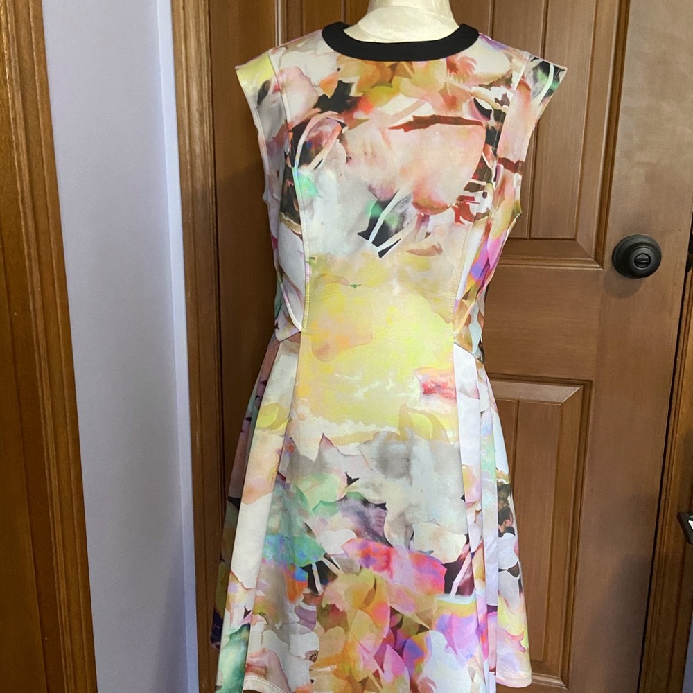 Ted Baker dress
